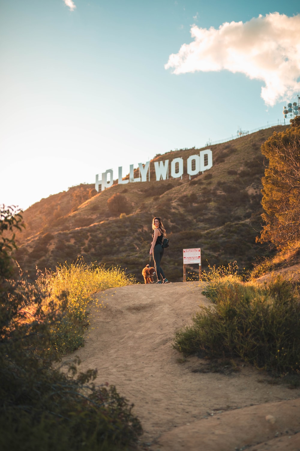 Hollywood Sign Wallpapers