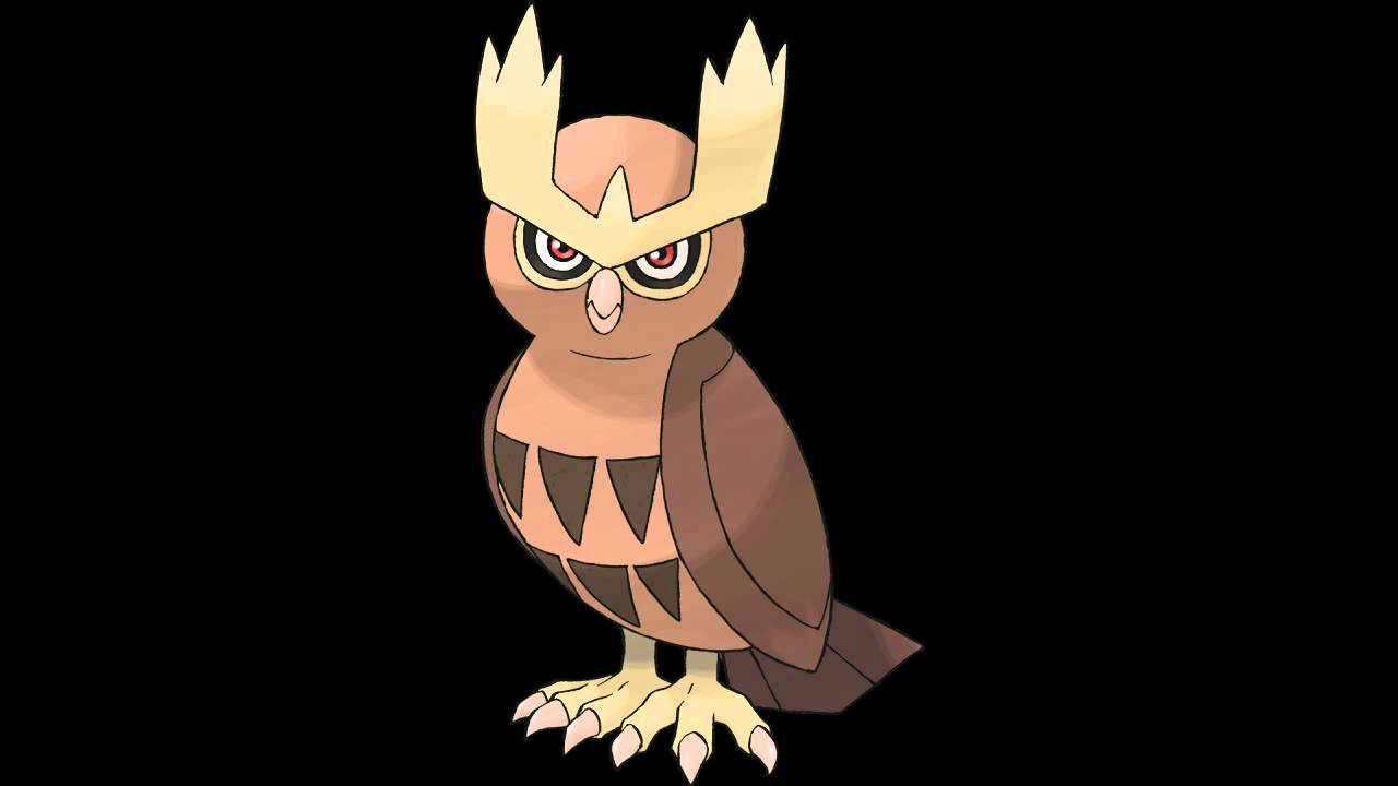 Hoothoot Hd Wallpapers