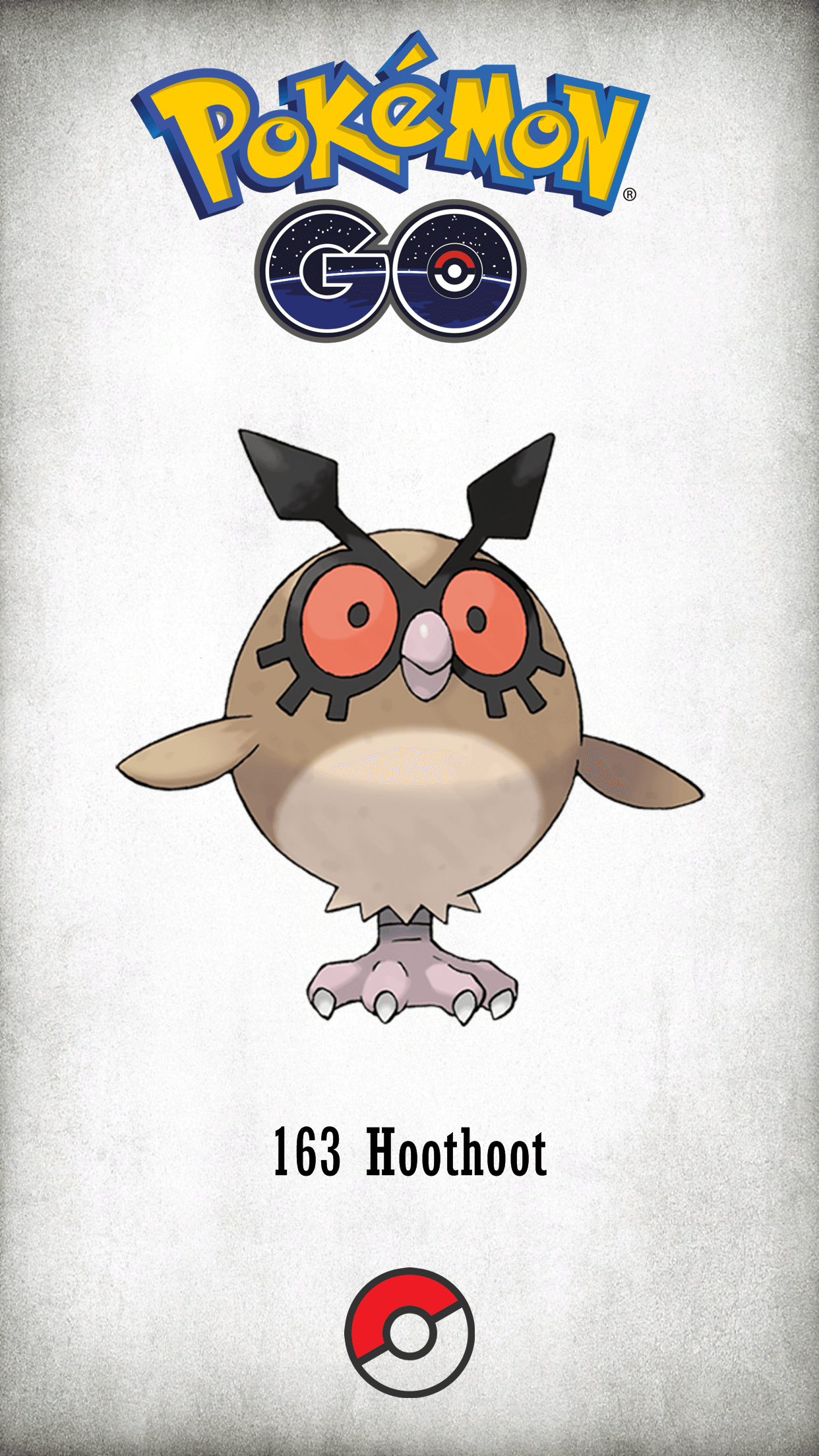 Hoothoot Hd Wallpapers