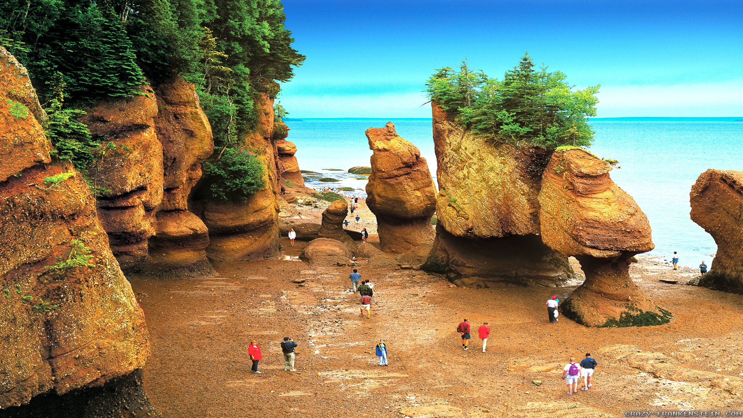 Hopewell Rocks Wallpapers