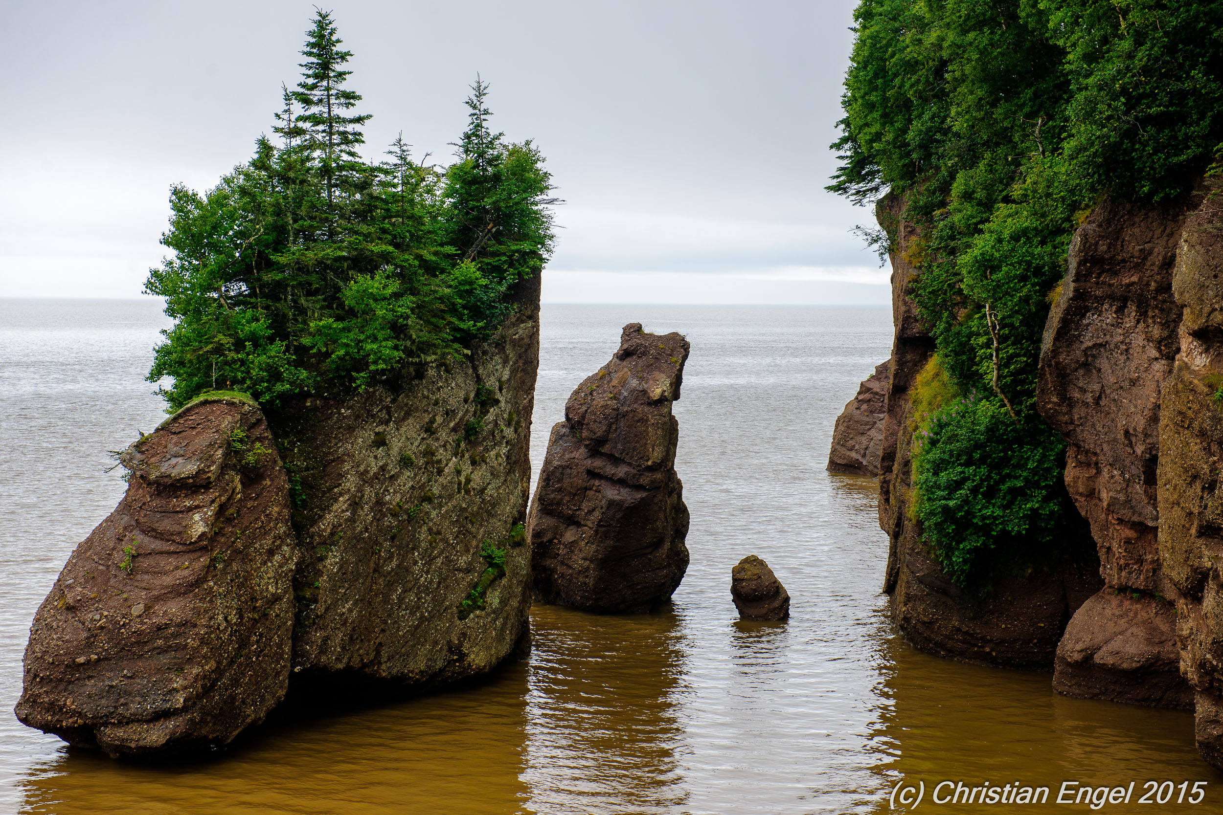 Hopewell Rocks Wallpapers