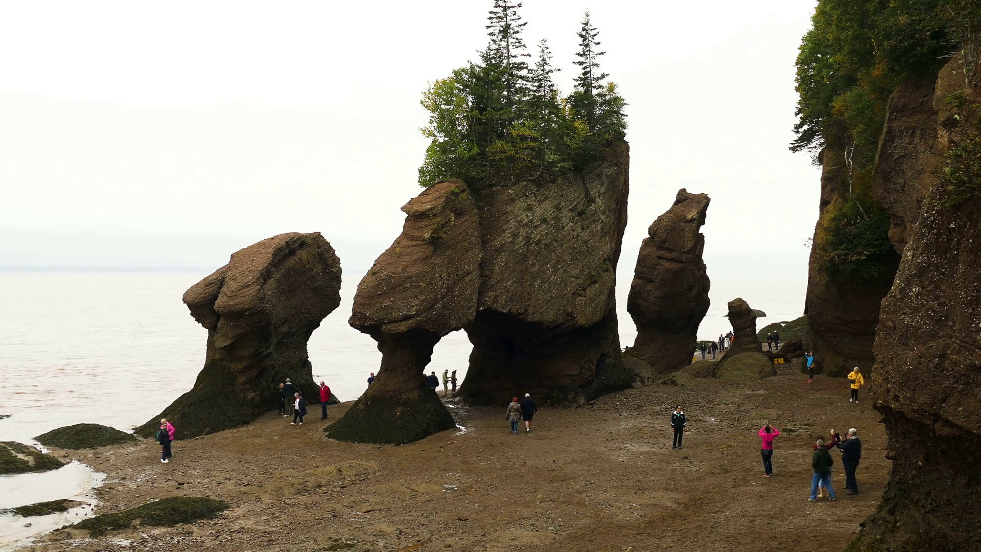 Hopewell Rocks Wallpapers