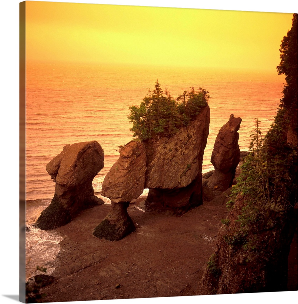 Hopewell Rocks Wallpapers