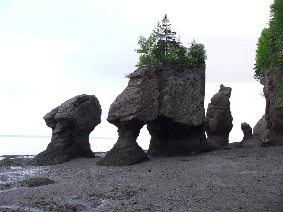 Hopewell Rocks Wallpapers