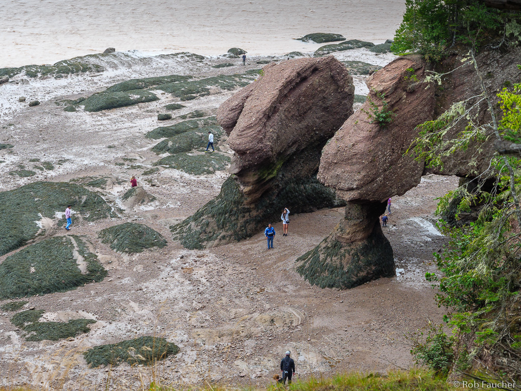 Hopewell Rocks Wallpapers