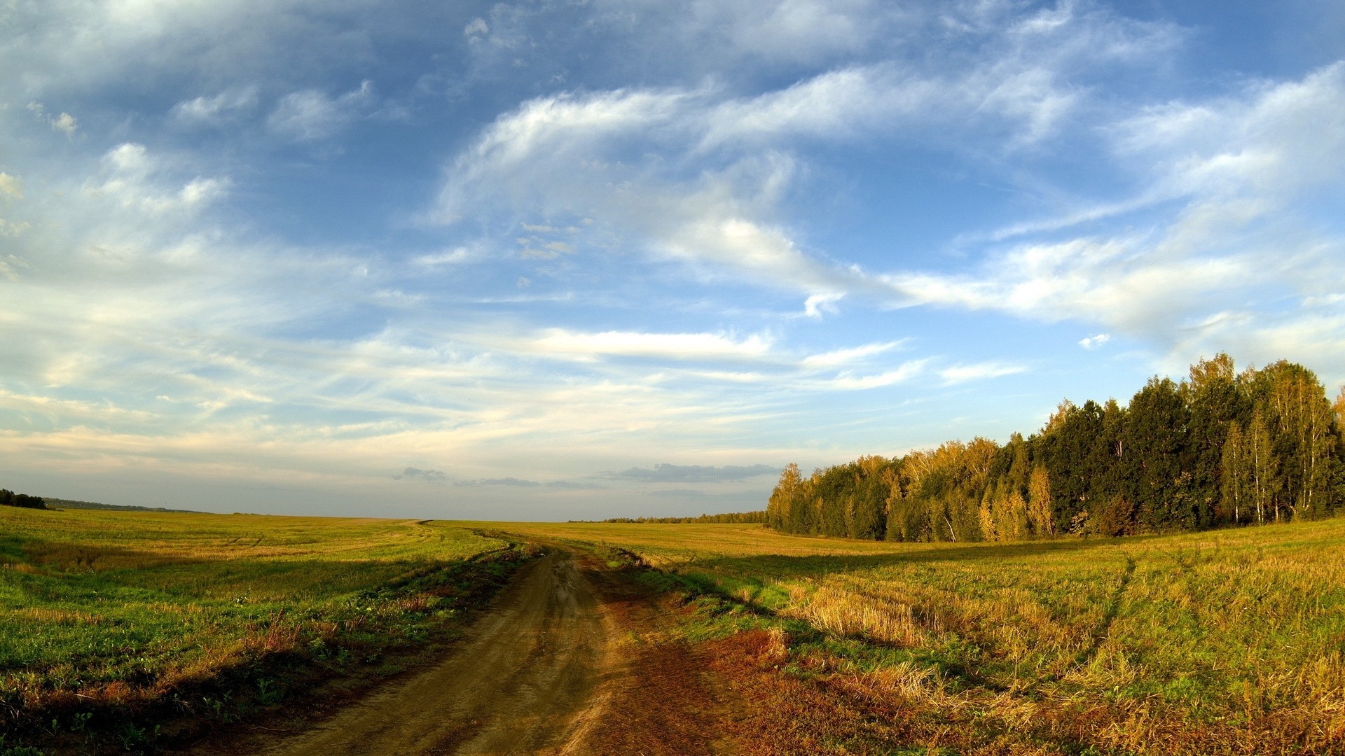 Horizon Landscape Wallpapers