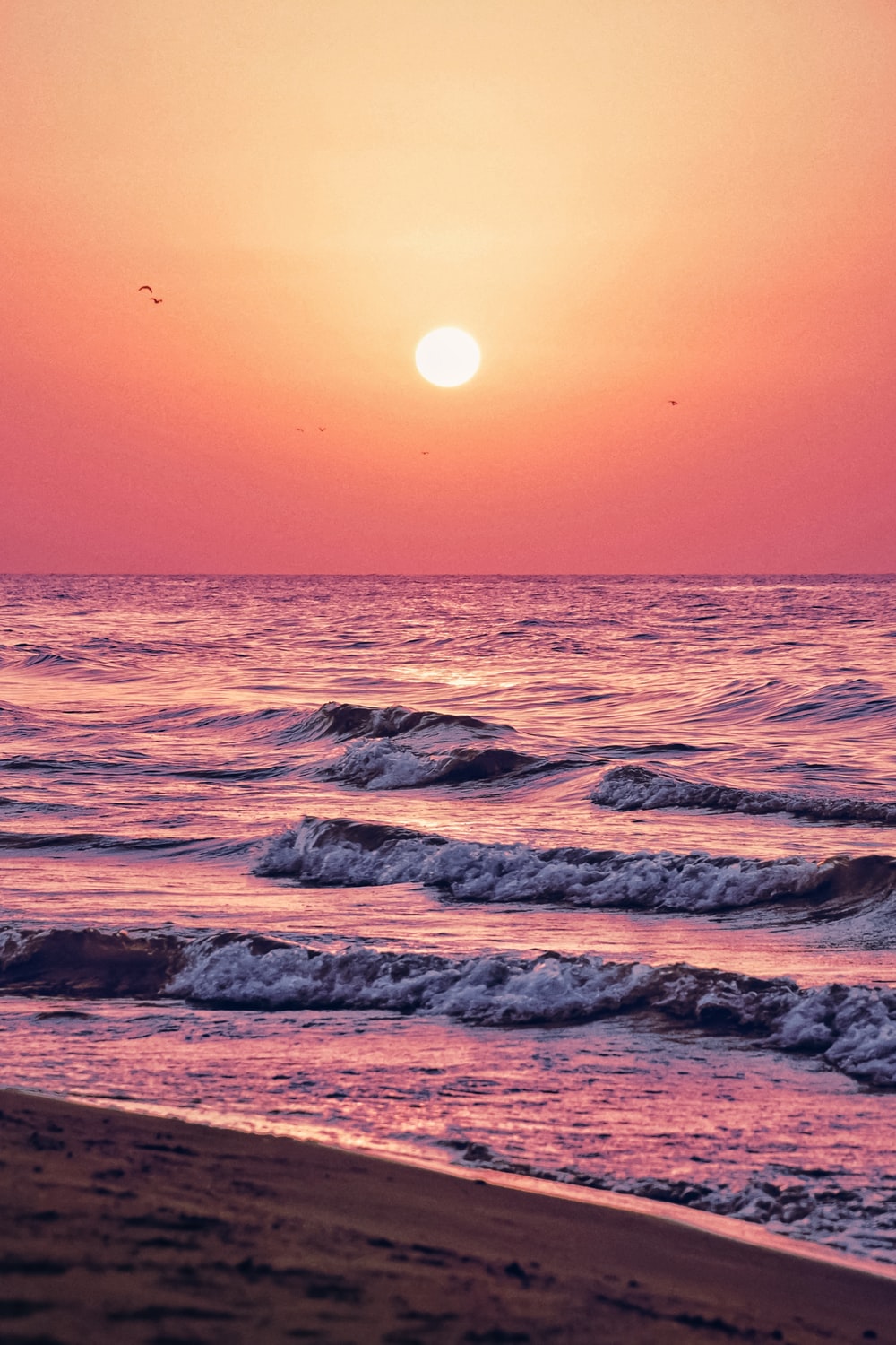 Horizon Pink Sunset Near Sea Wallpapers