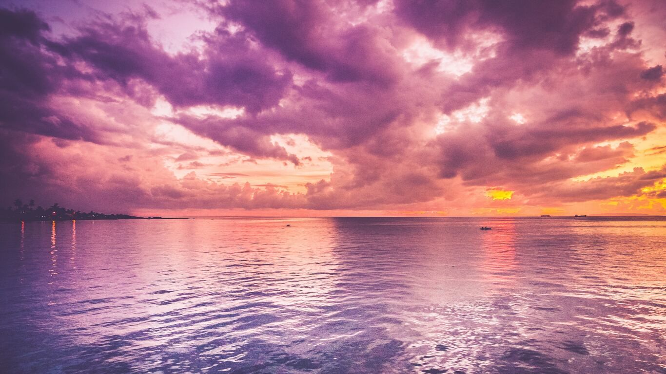 Horizon Pink Sunset Near Sea Wallpapers