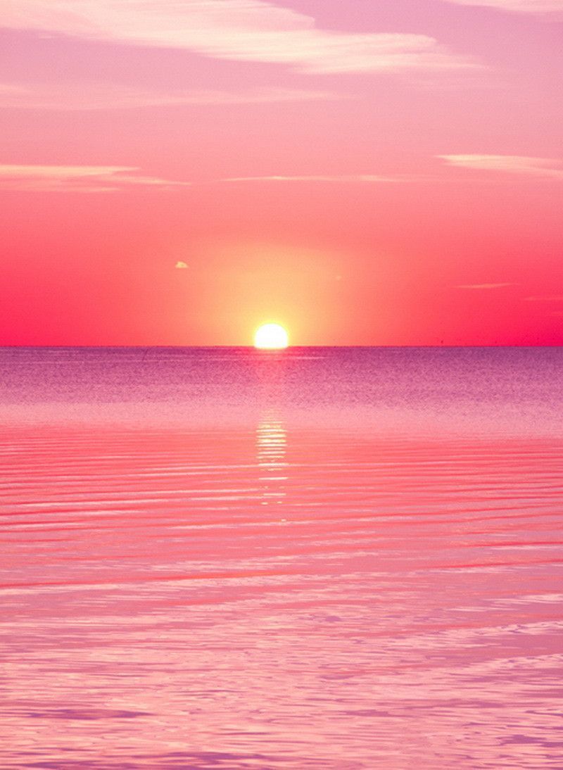 Horizon Pink Sunset Near Sea Wallpapers