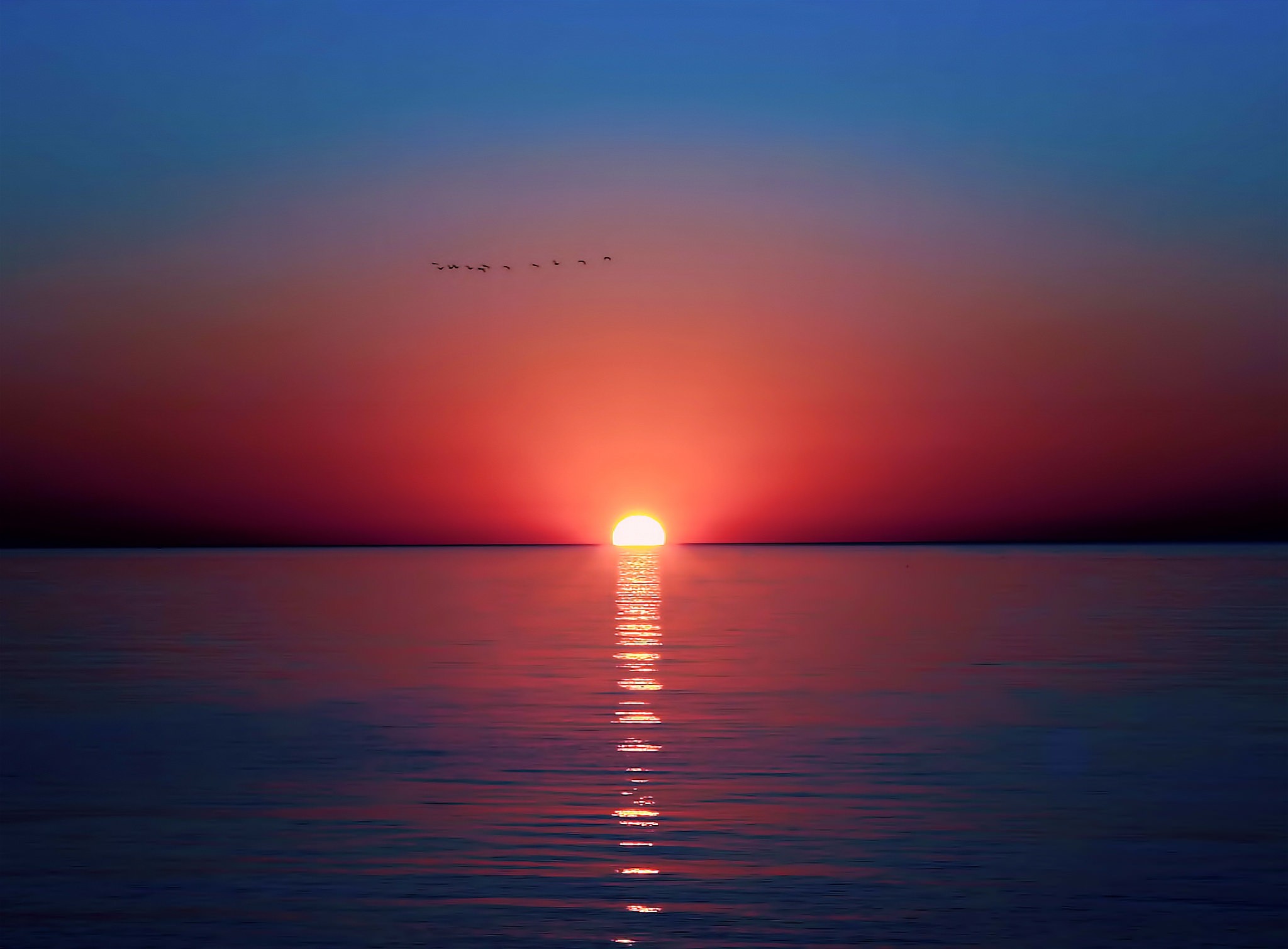 Horizon Sunset In Ocean Wallpapers