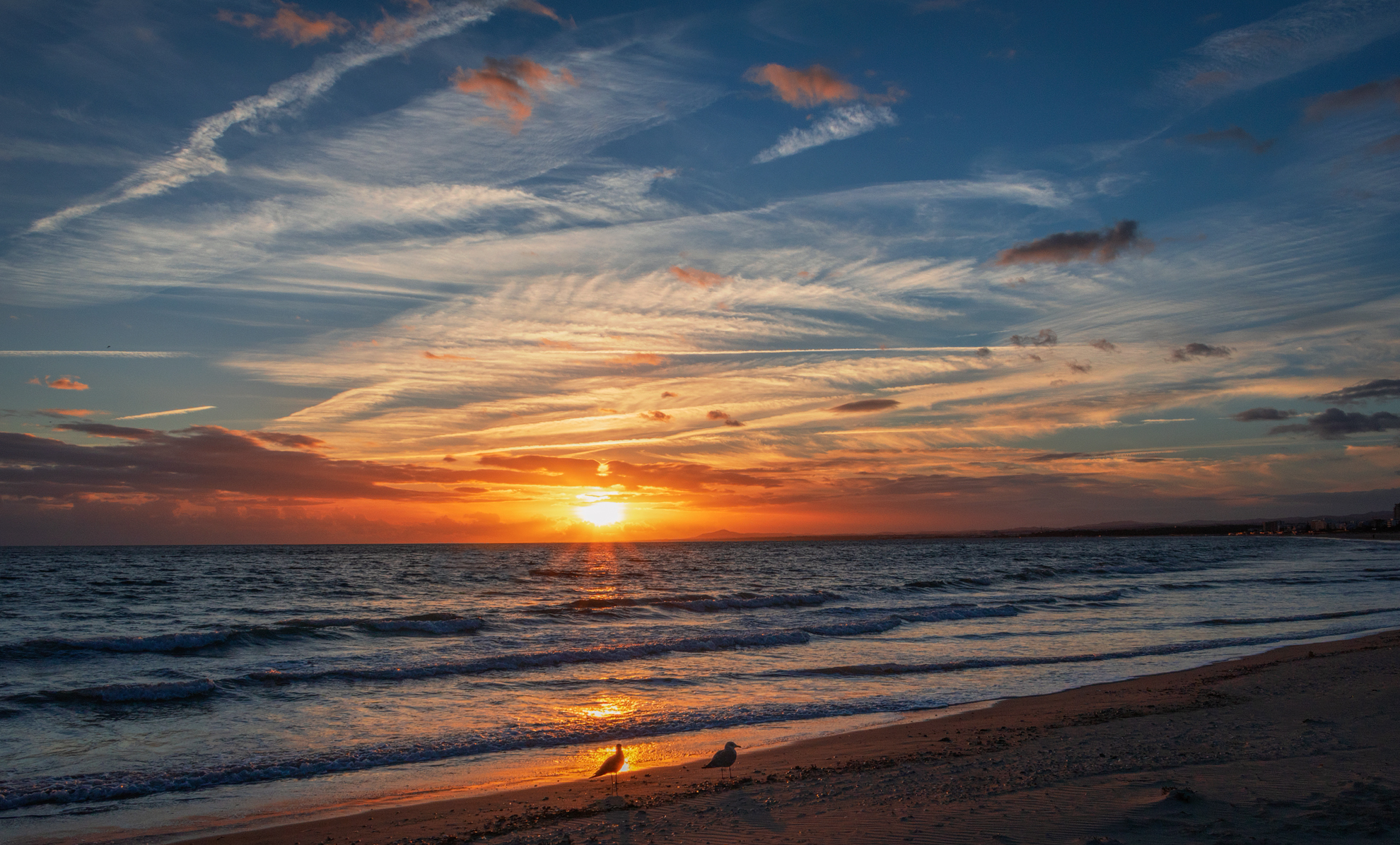 Horizon Sunset In Ocean Wallpapers