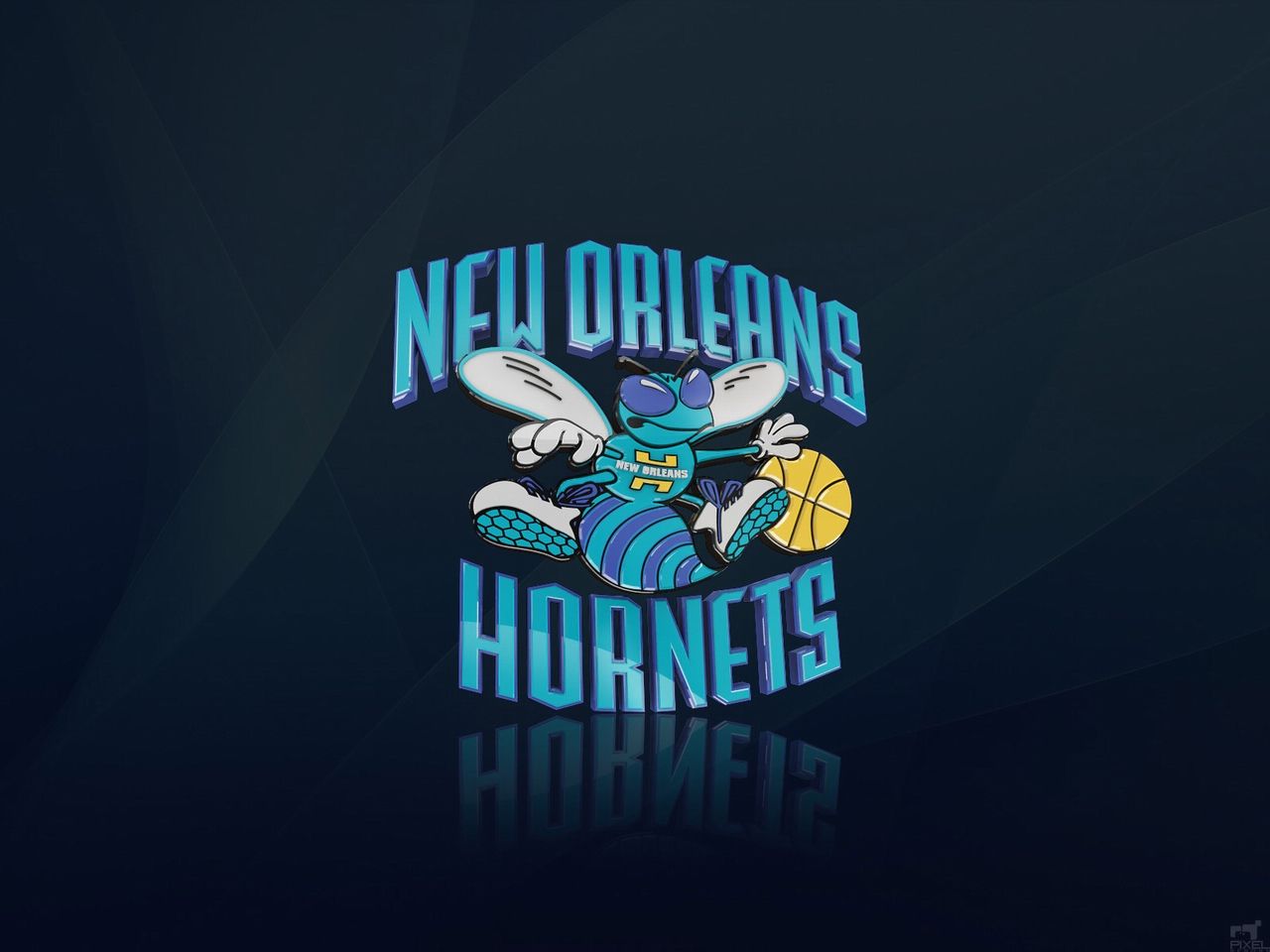 Hornets Wallpapers