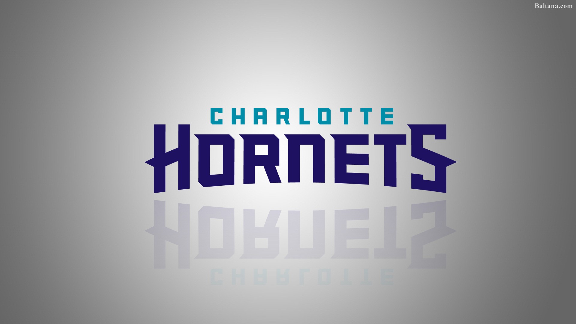 Hornets Wallpapers