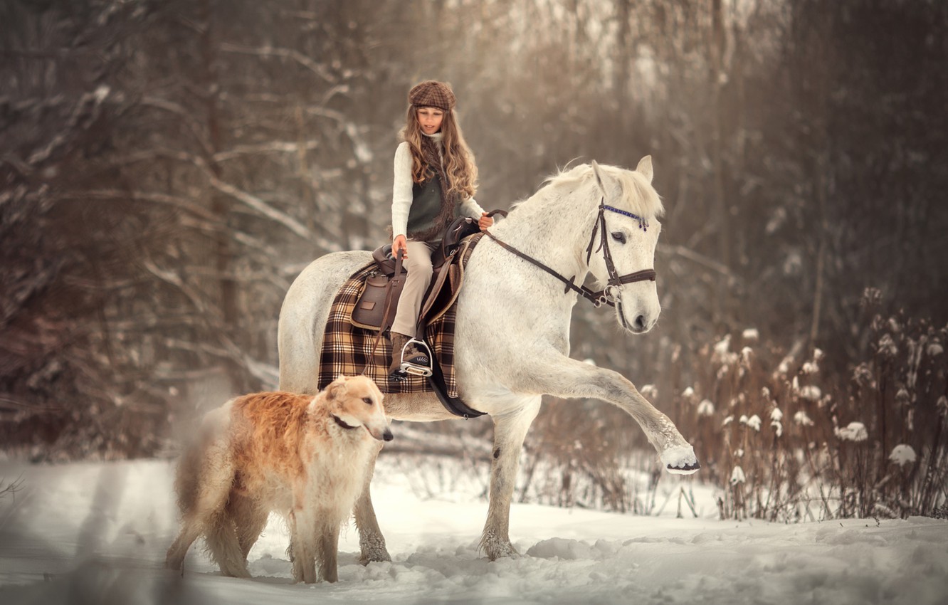 Horse And Dog Pictures Wallpapers