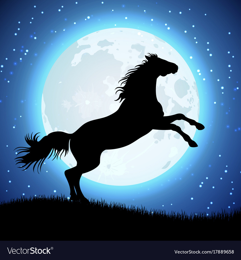 Horse Background