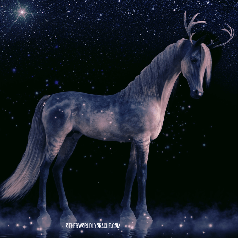Horse Creature In Dark Fantasy
 Wallpapers