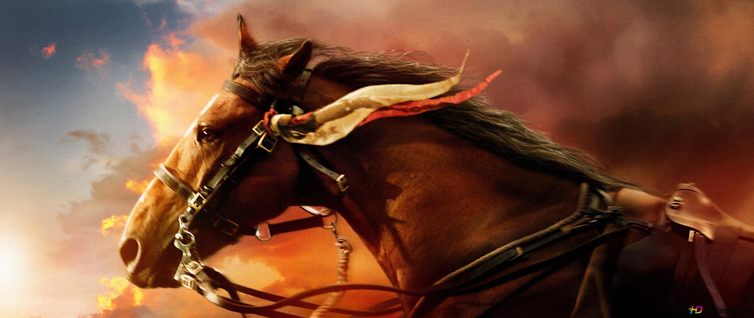 Horse For Computer Wallpapers