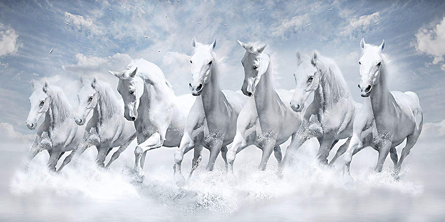 Horse White Wallpapers