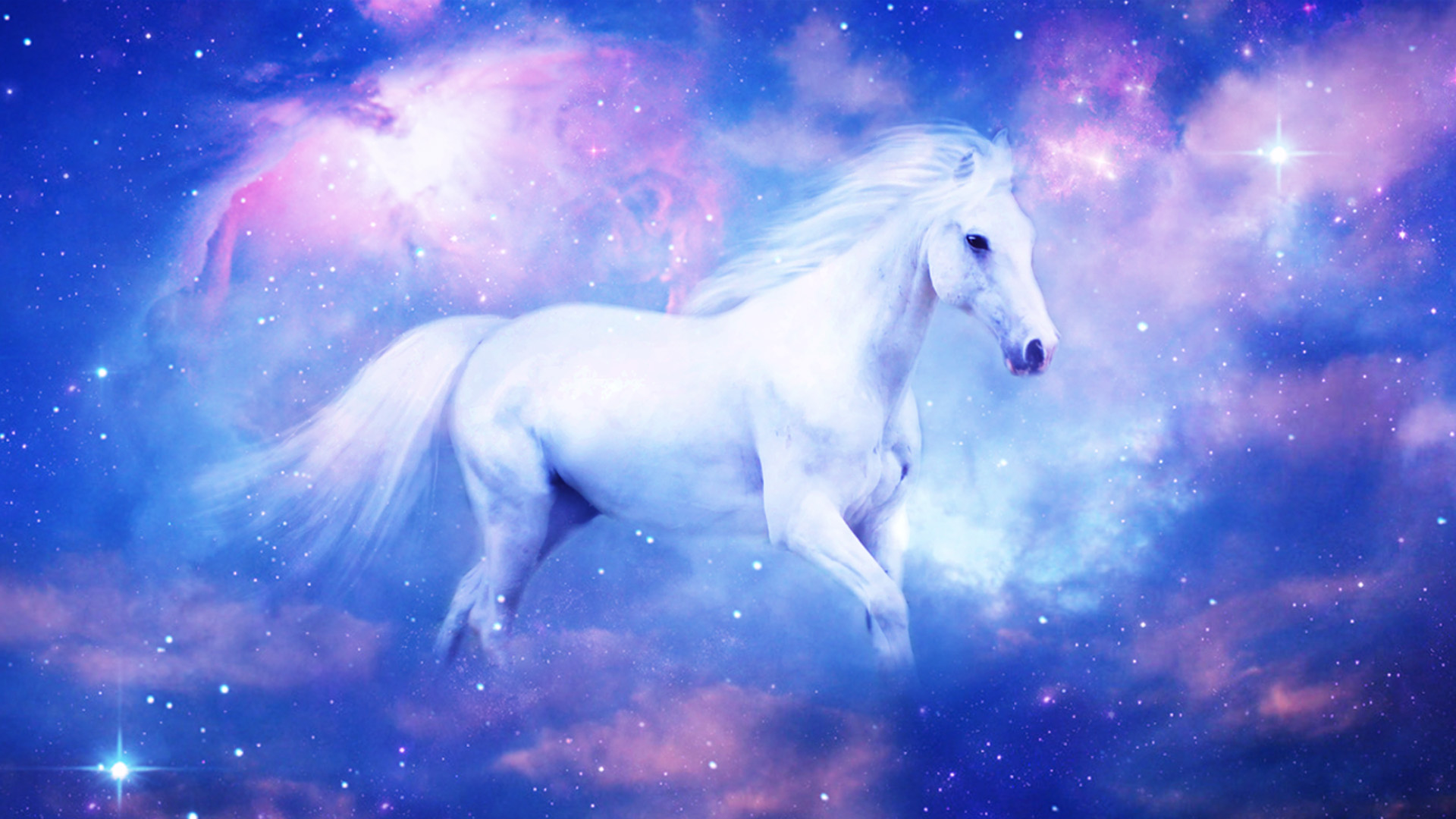 Horse White Wallpapers