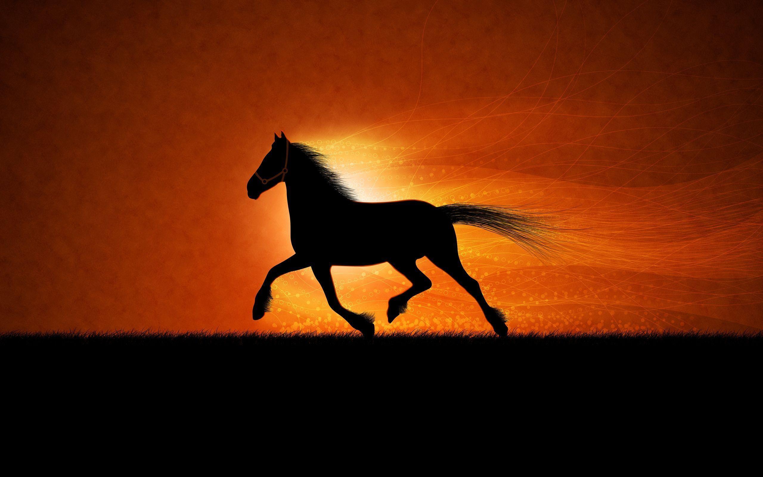 Horses Backgrounds