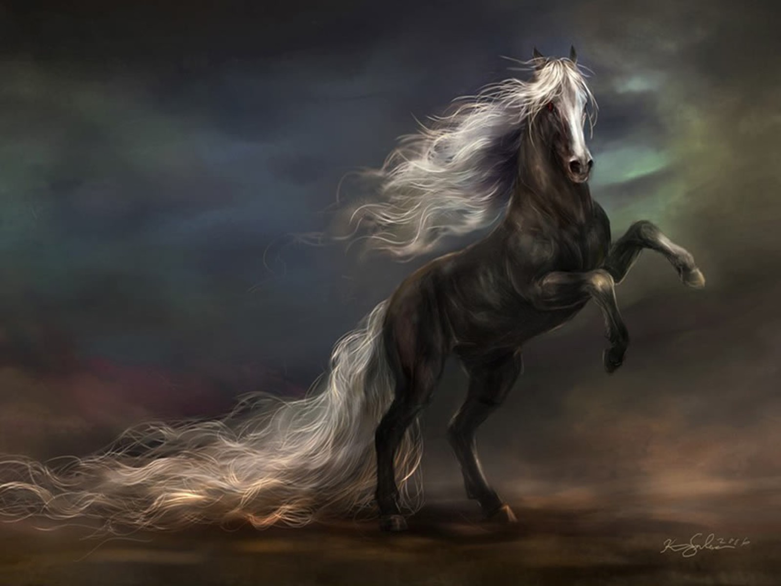 Horses Backgrounds