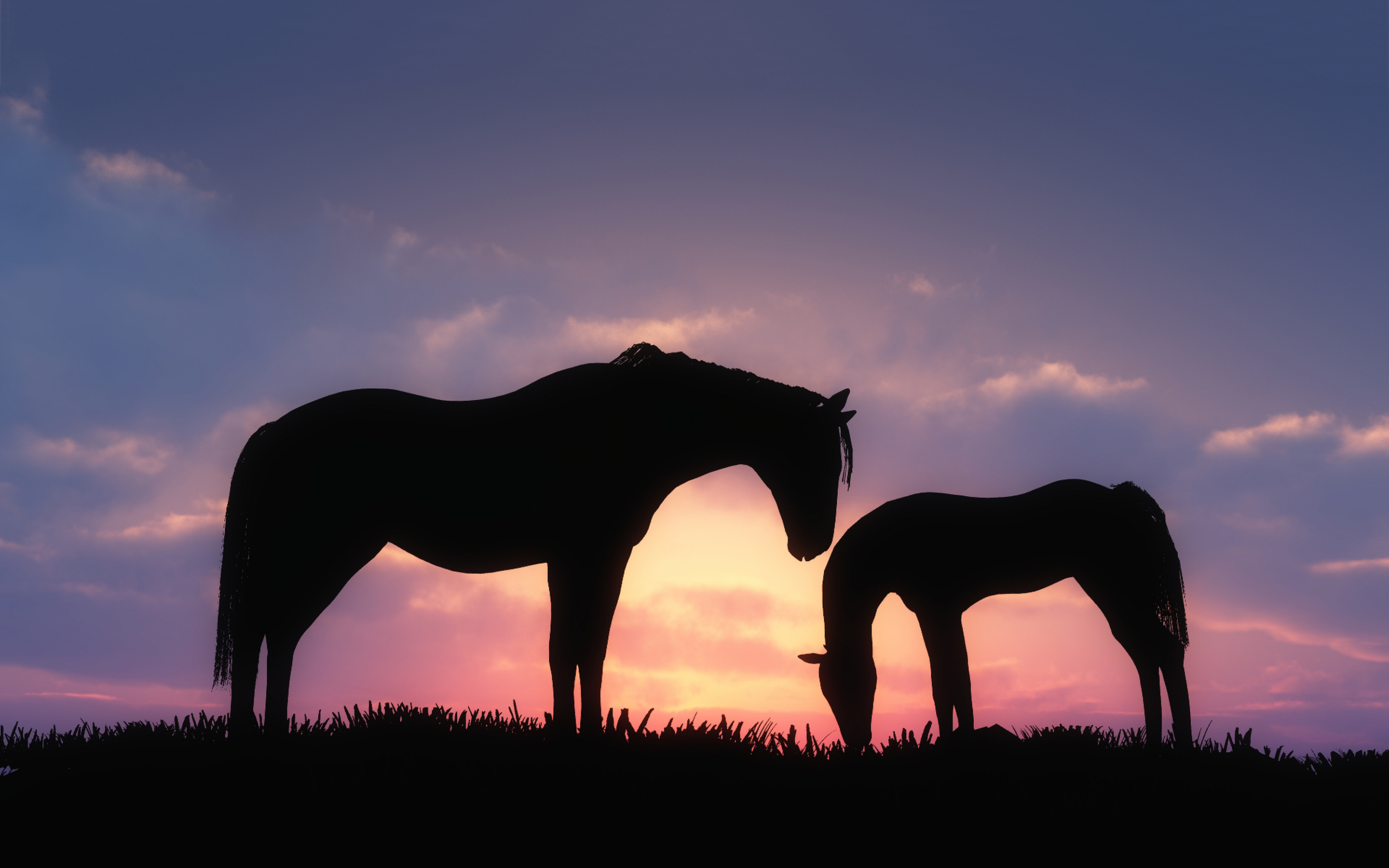 Horses Backgrounds