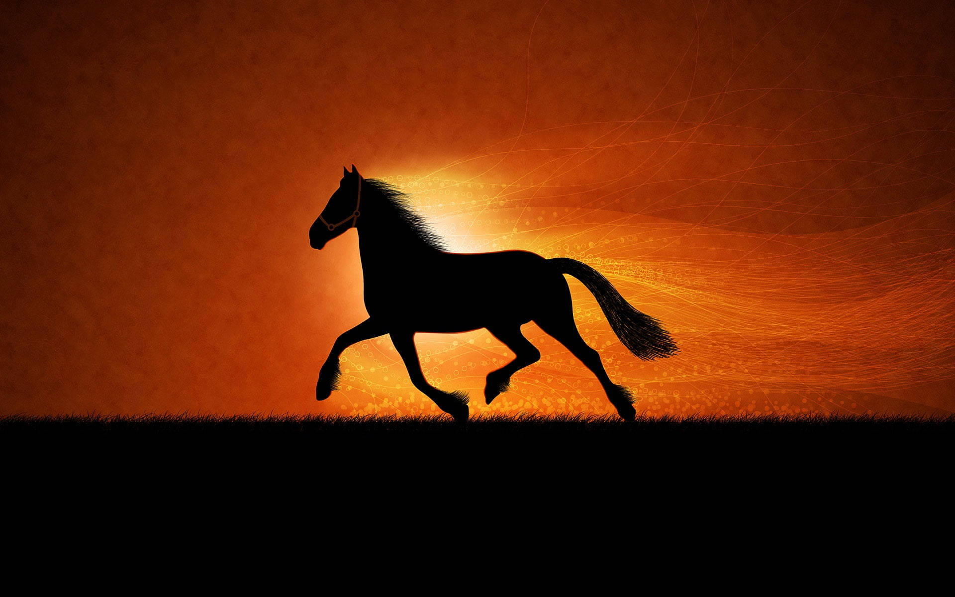 Horses Backgrounds