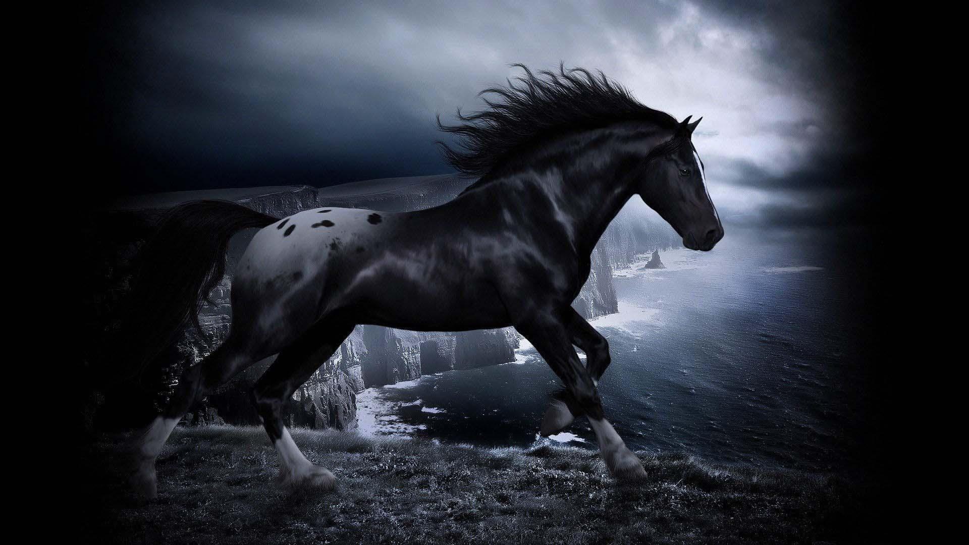 Horses Backgrounds