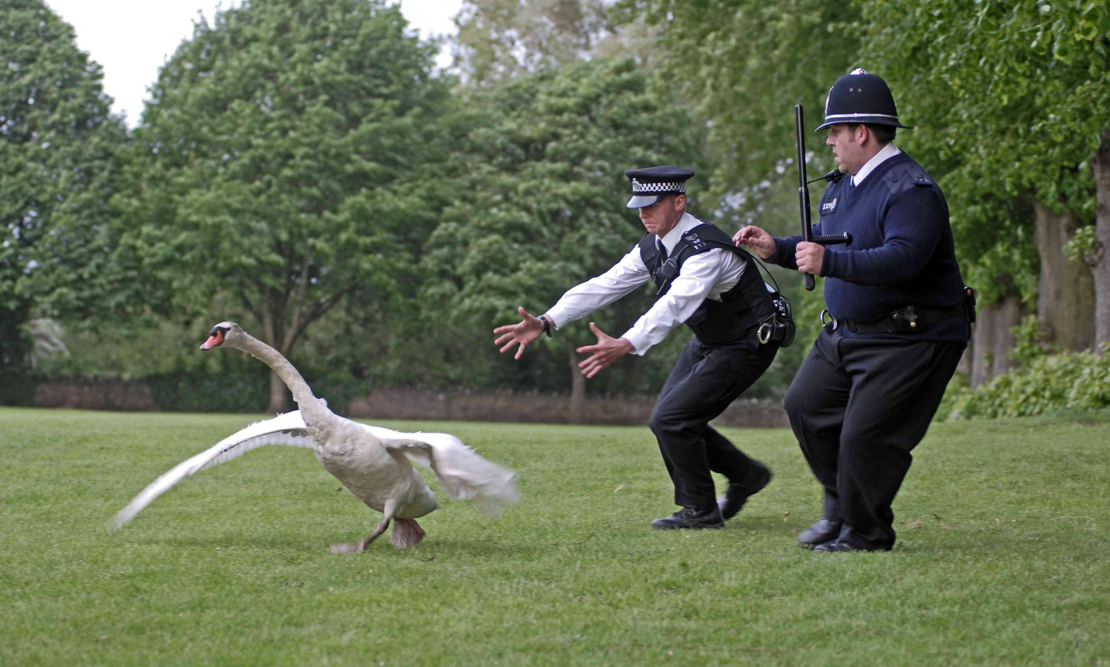 Hot Fuzz Wallpapers