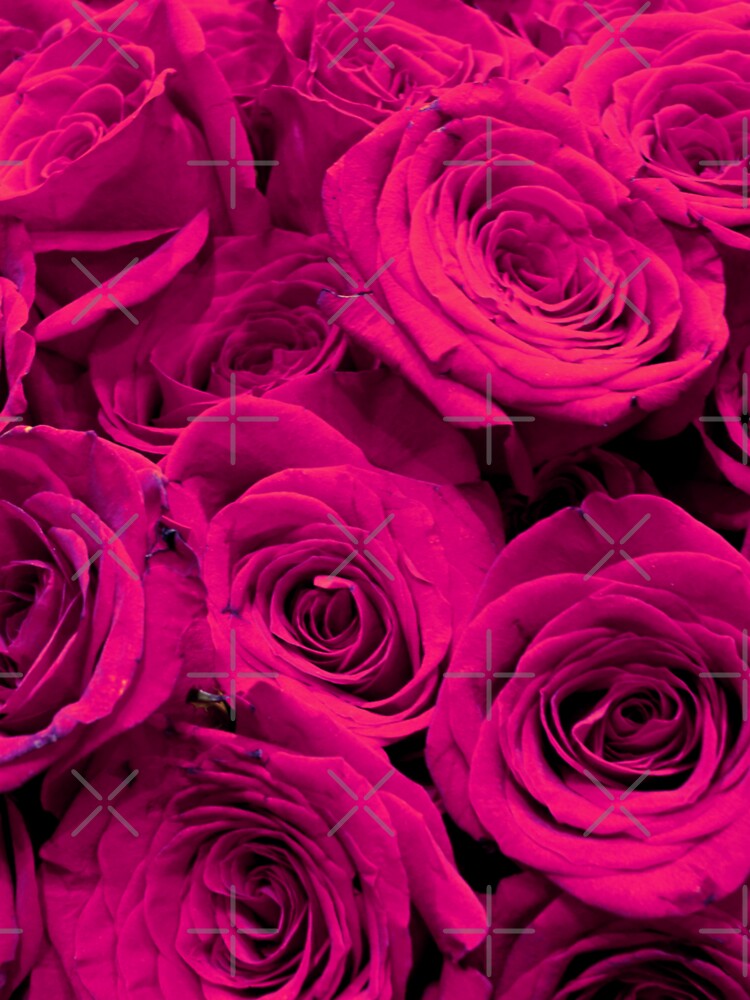 Hot Pink Flower Background