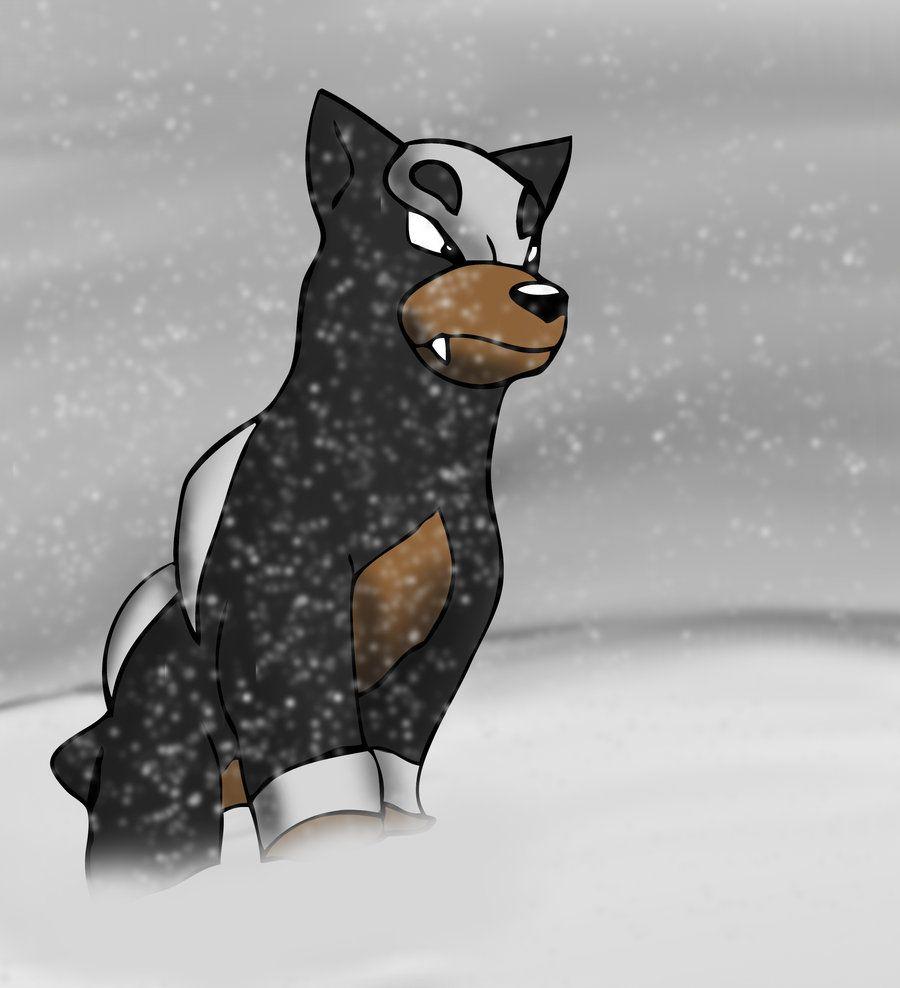 Houndour Hd Wallpapers