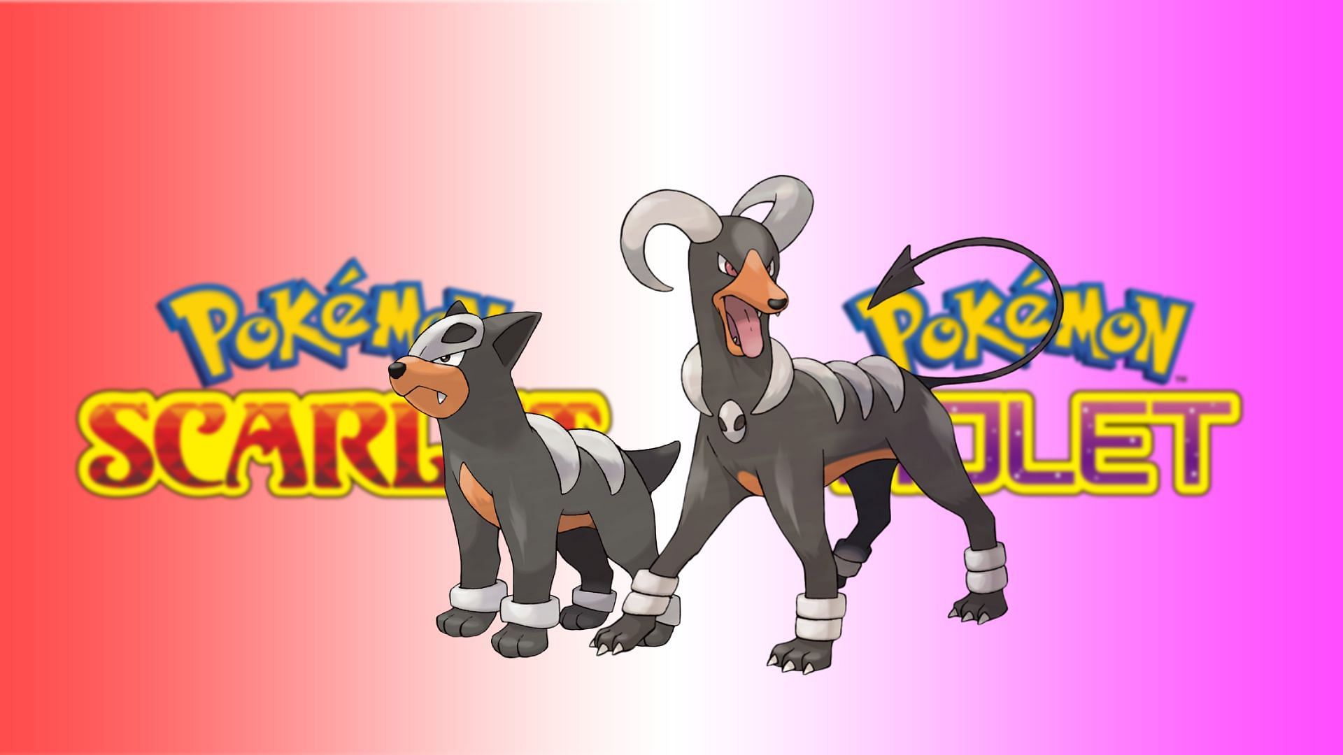 Houndour Hd Wallpapers