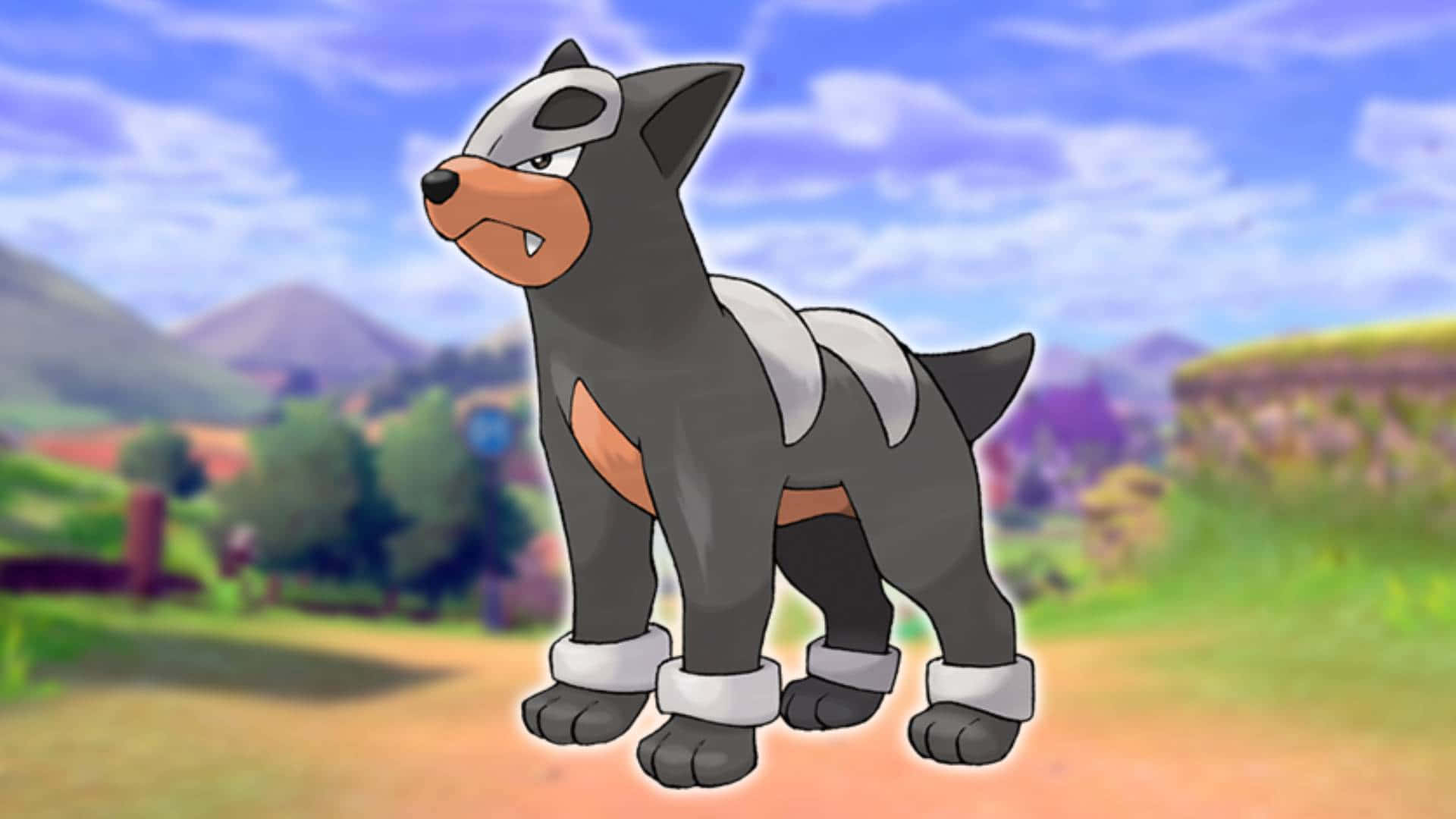 Houndour Hd Wallpapers