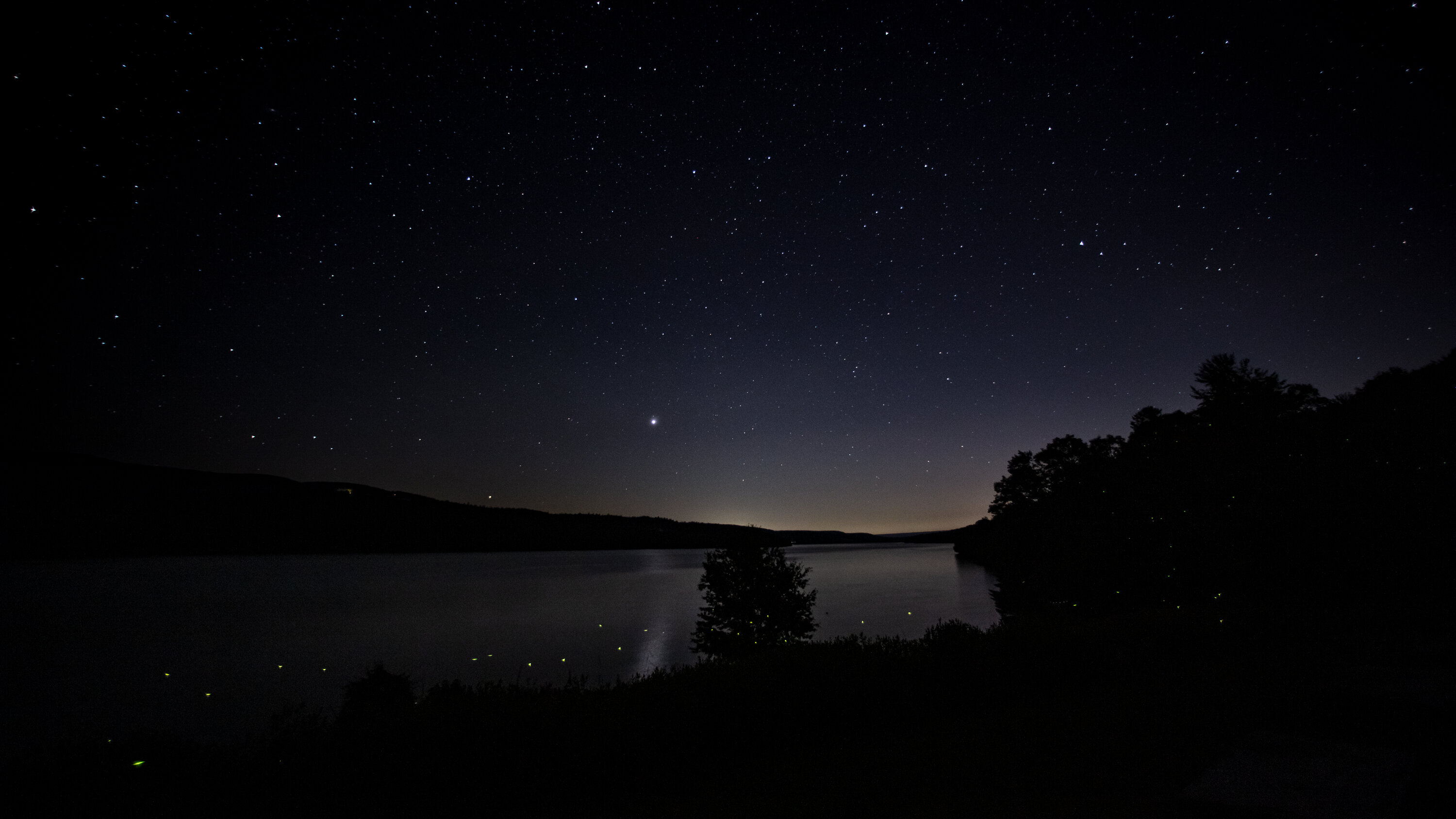 Houses At Lake Water Starry Night Wallpapers