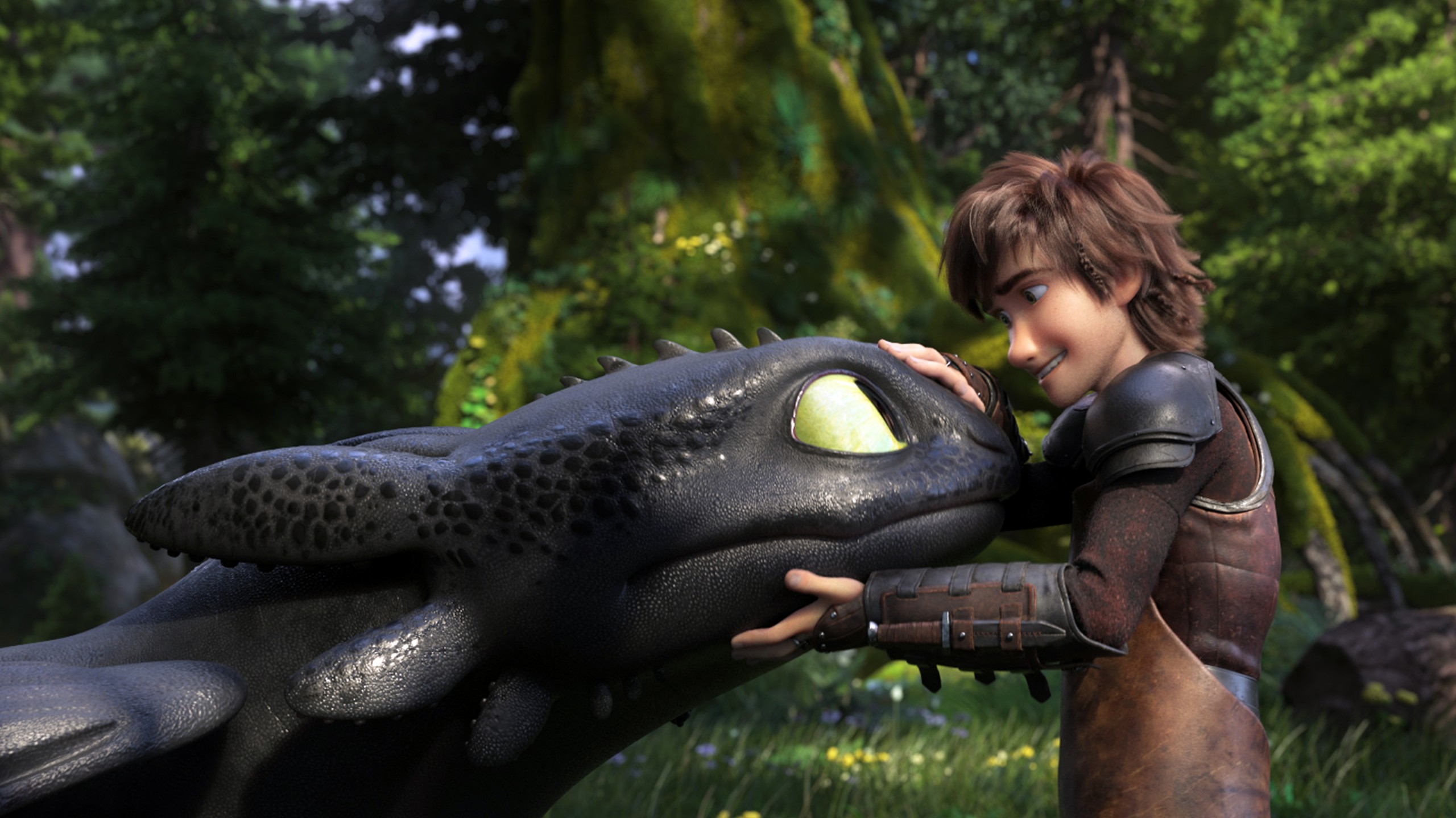 How To Train Your Dragon The Hidden World 4K 8K Wallpapers