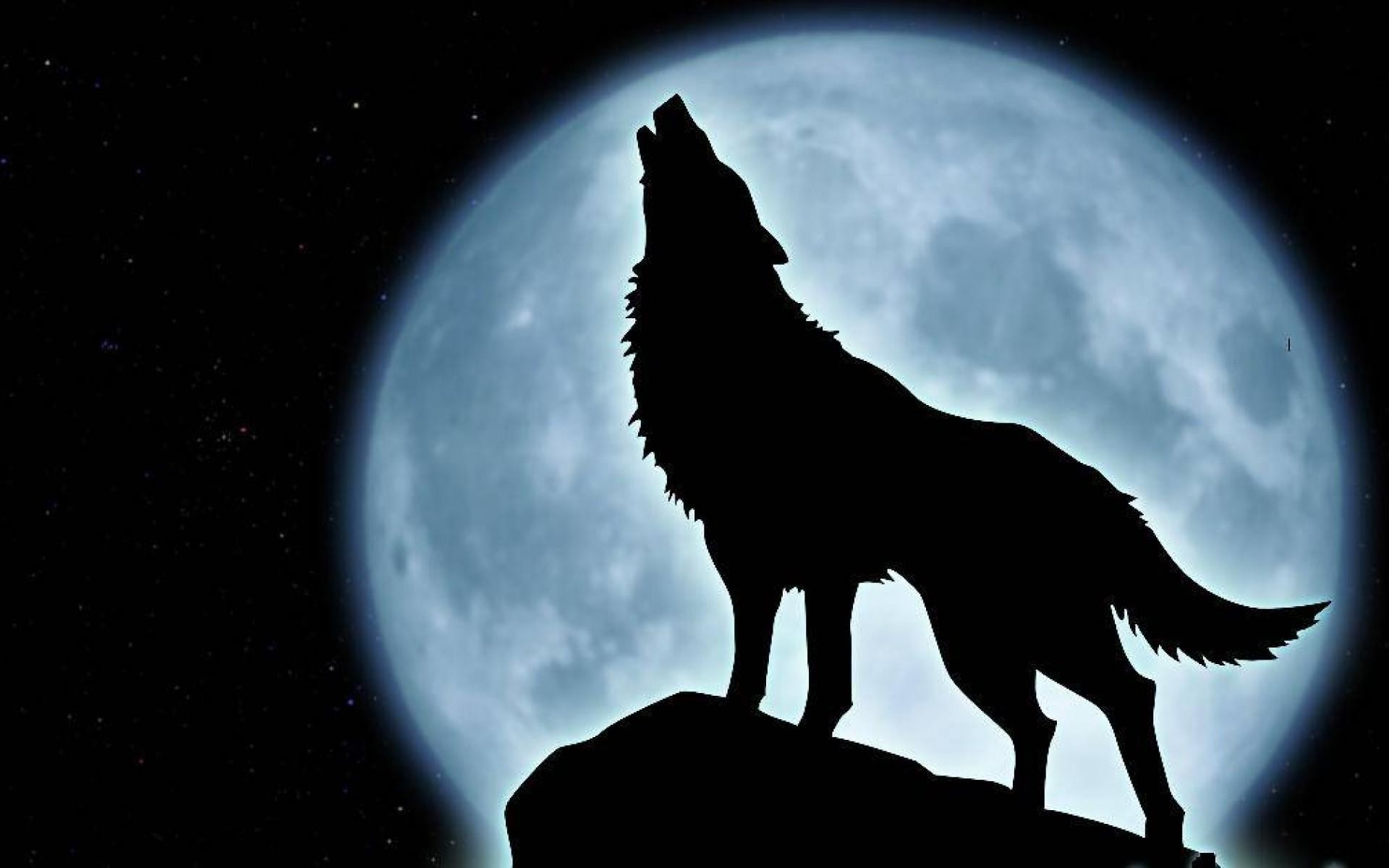 Howling Wolf Wallpapers