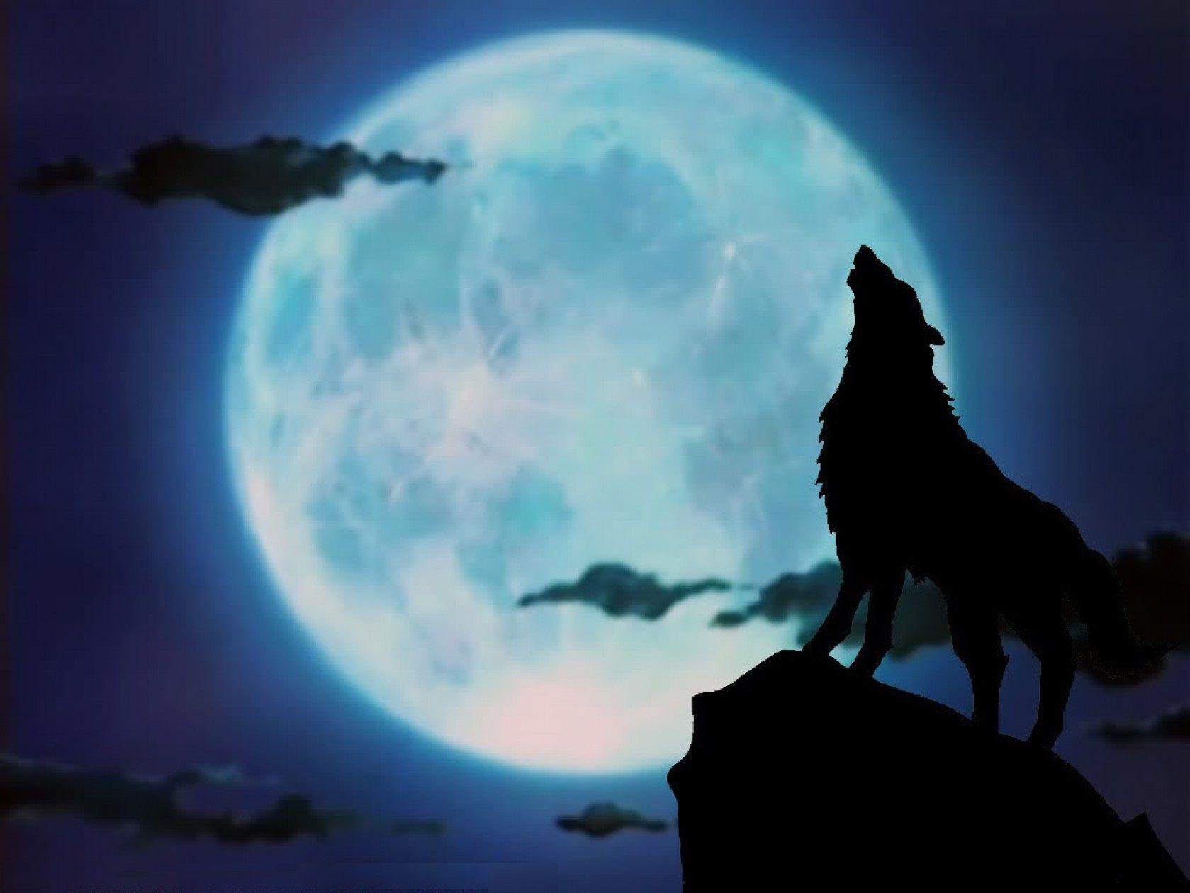 Howling Wolf Wallpapers