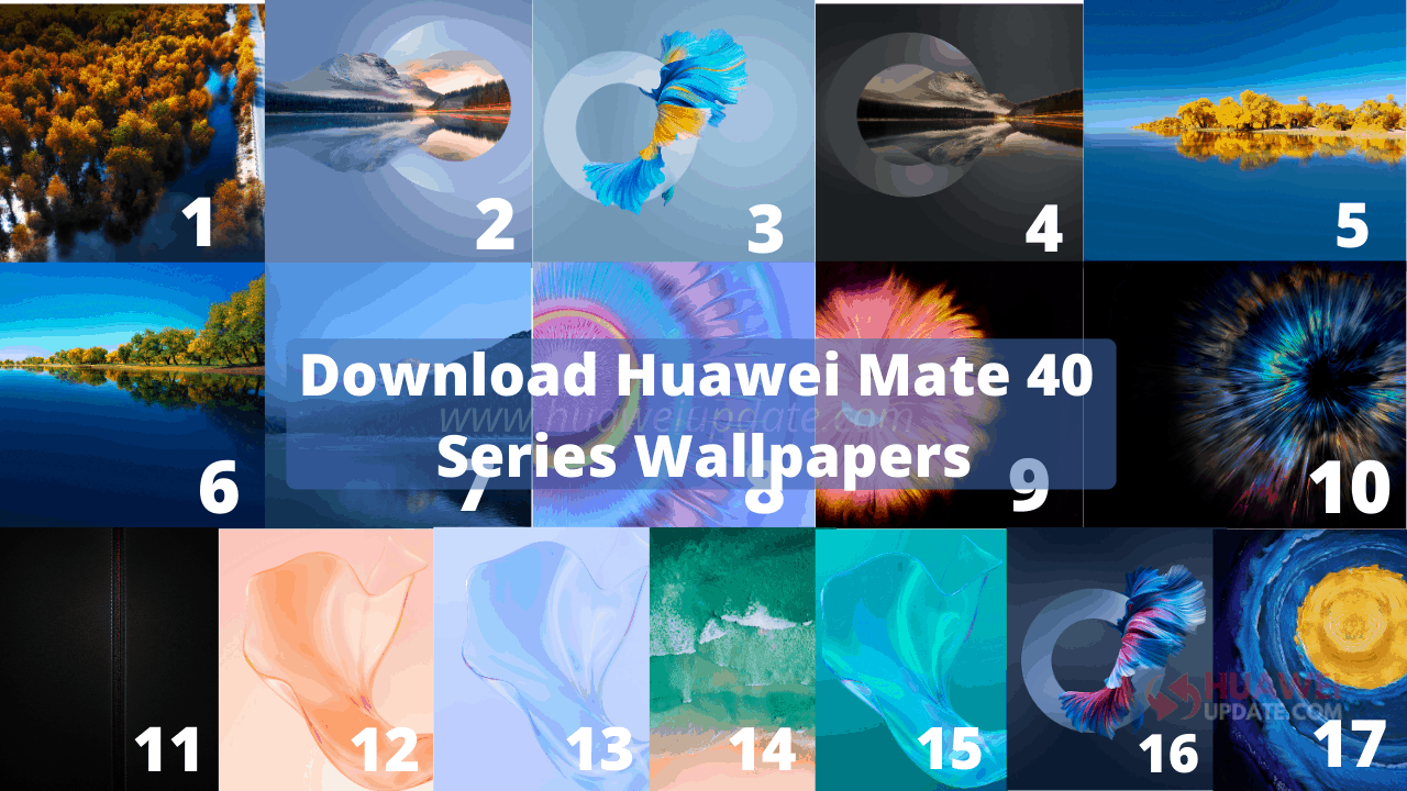 Huawei Mate 40 Pro Wallpapers