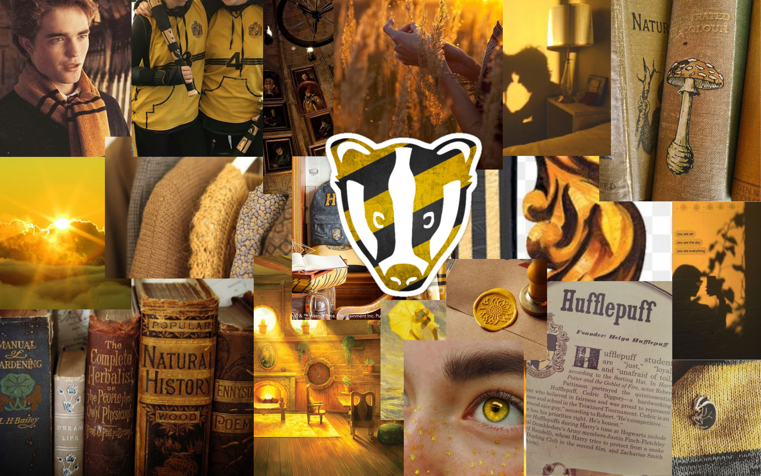 Hufflepuff Laptop Wallpapers