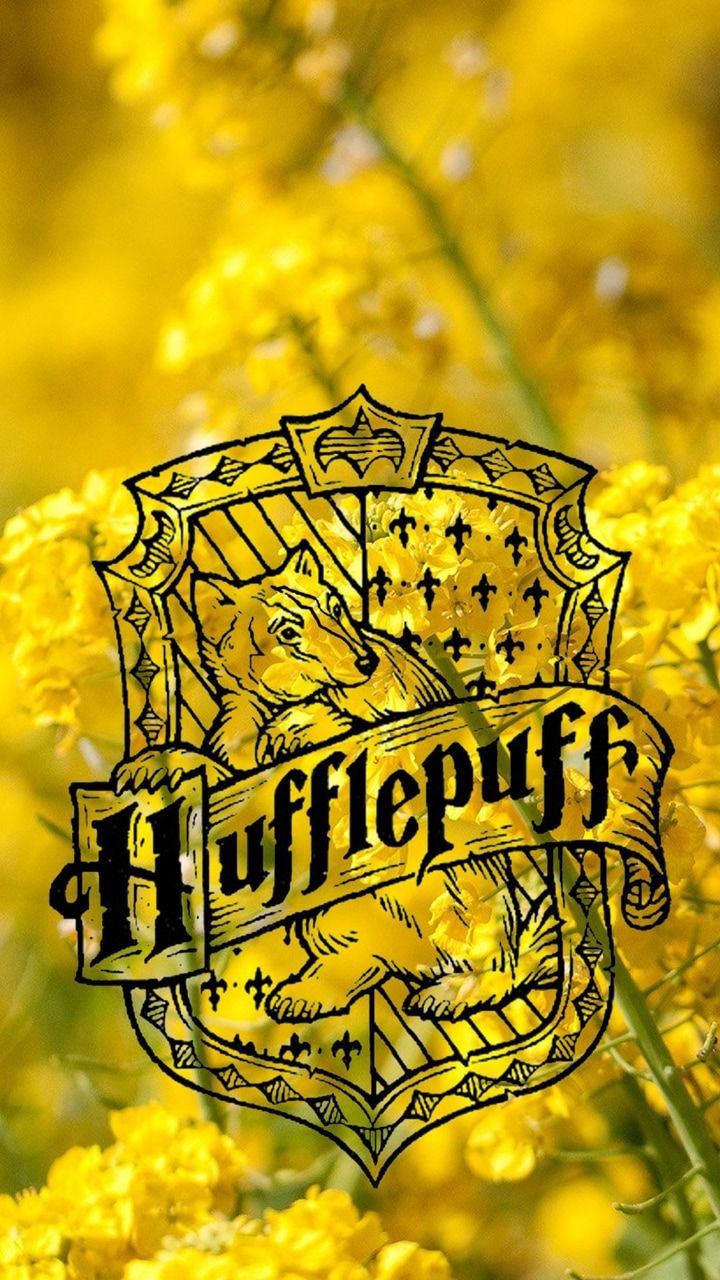 Hufflepuff Quidditch Wallpapers