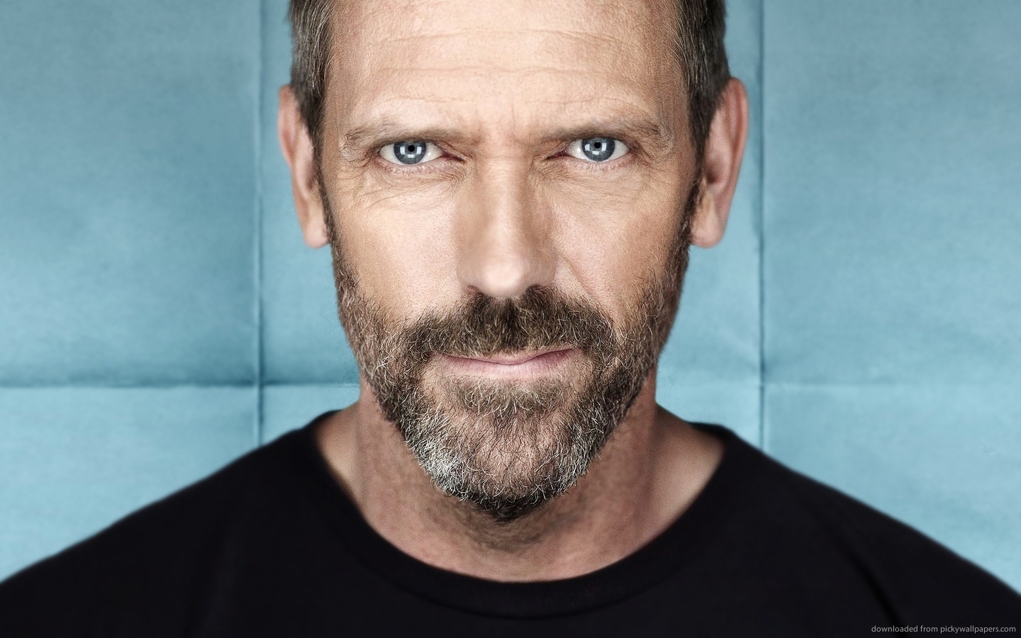 Hugh Laurie Wallpapers