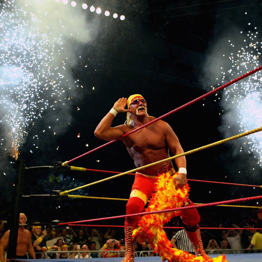 Hulk Hogan Wall Paper Wallpapers