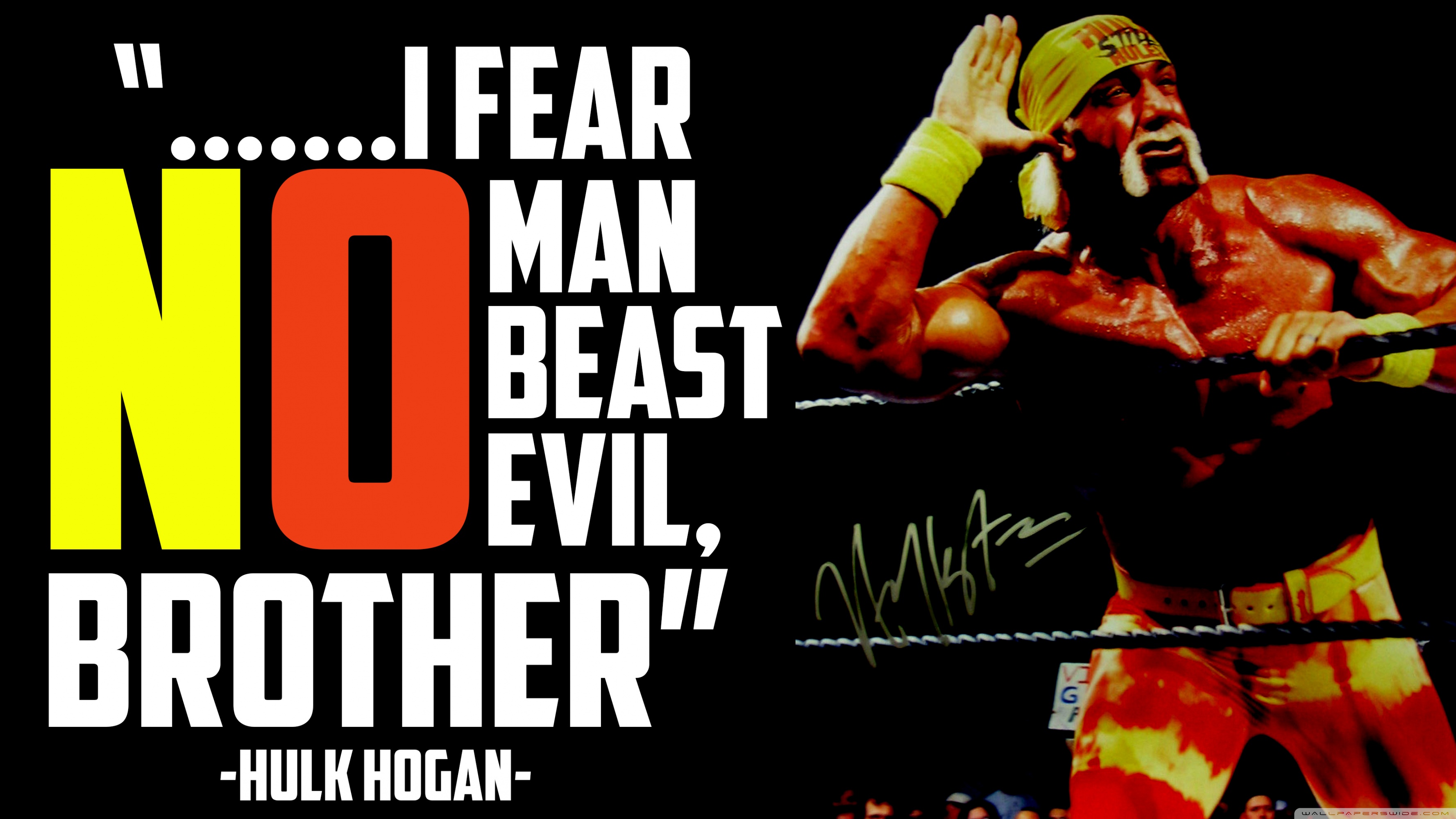 Hulk Hogan Wall Paper Wallpapers