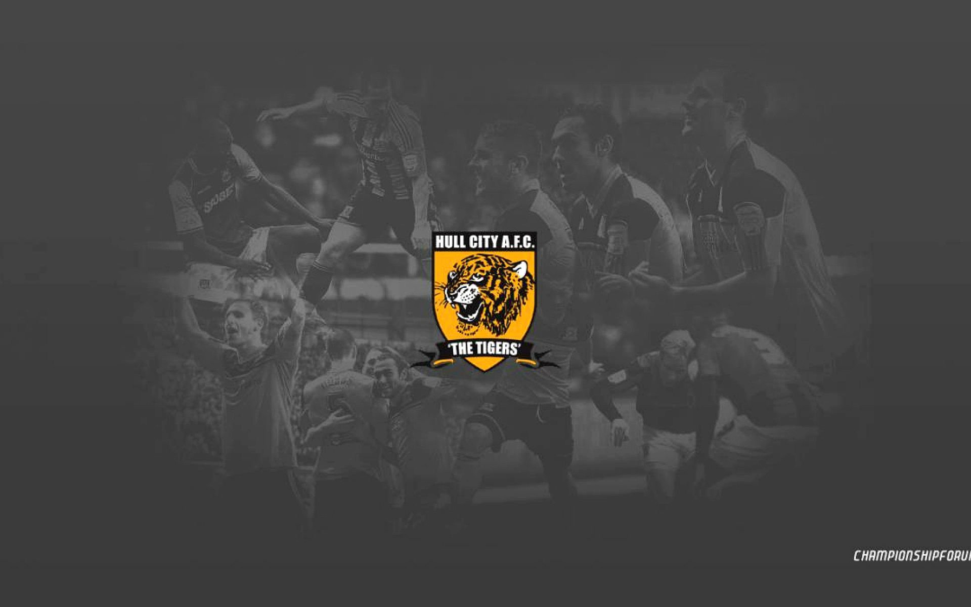 Hull City A.F.C. Wallpapers