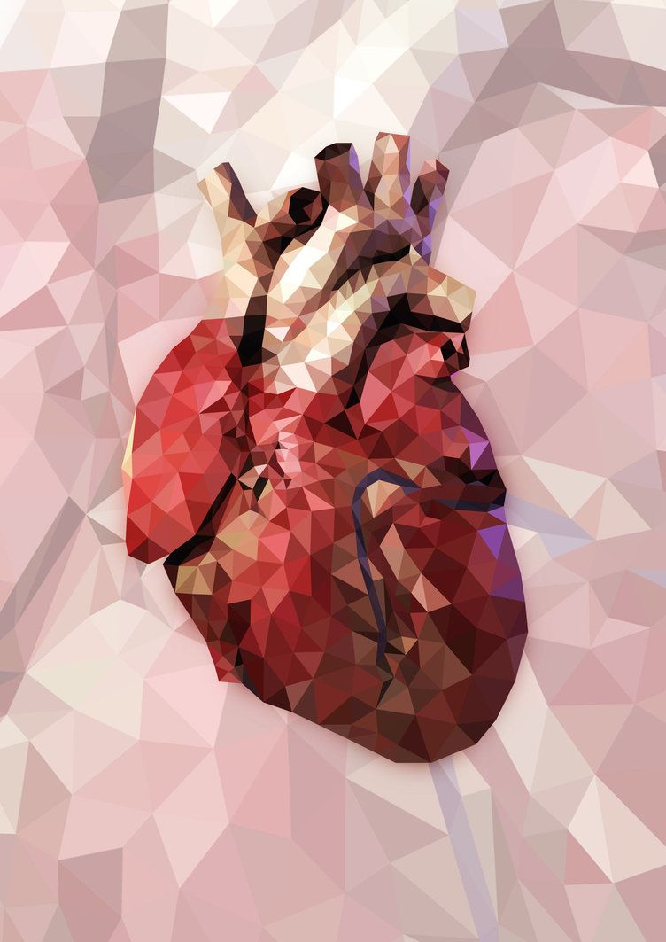 Human Heart Wallpapers