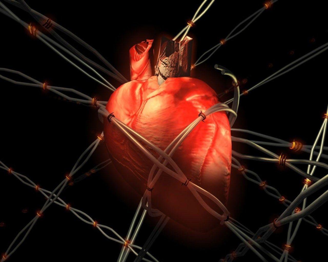 Human Heart Wallpapers