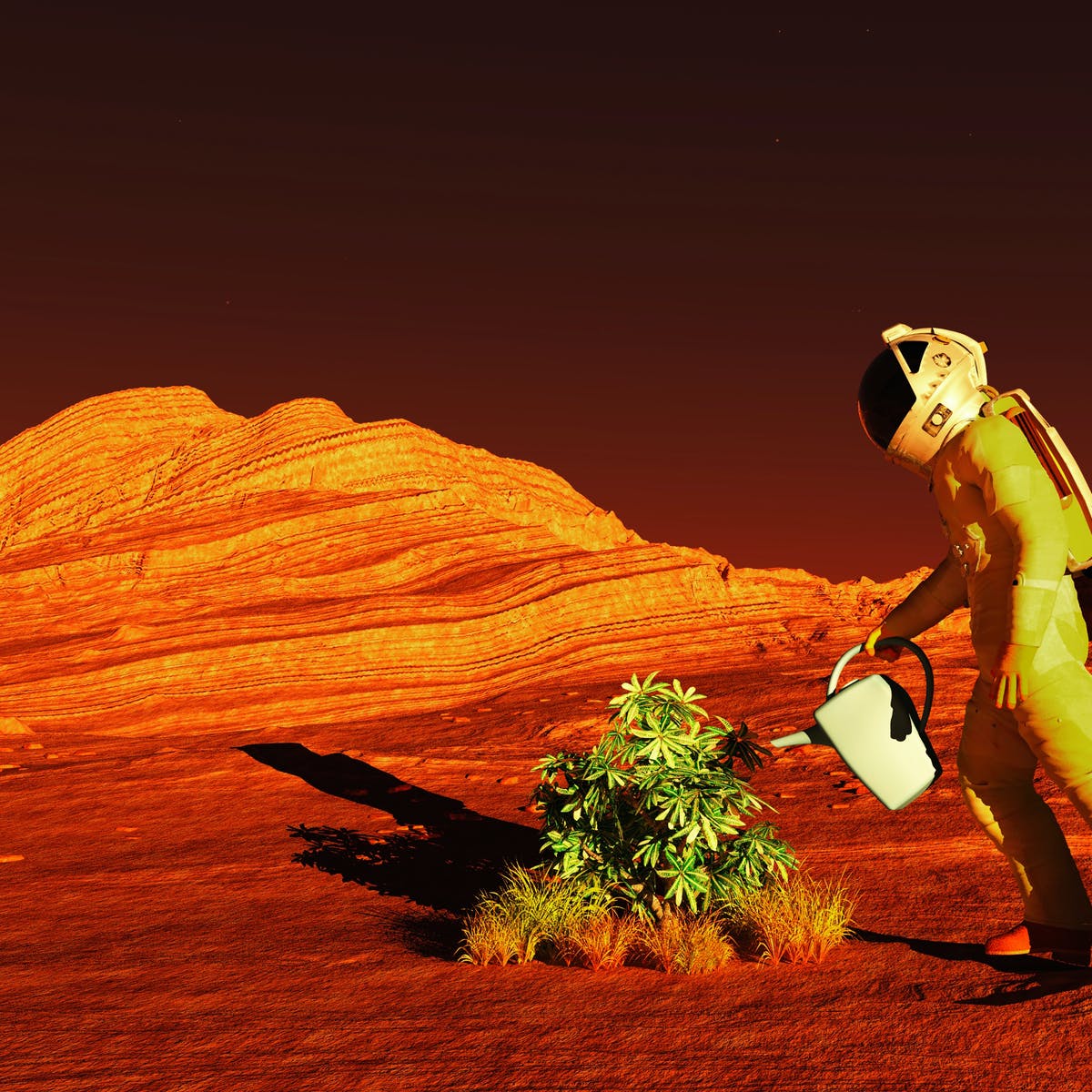 Human Surviving In Mars Artwork Wallpapers