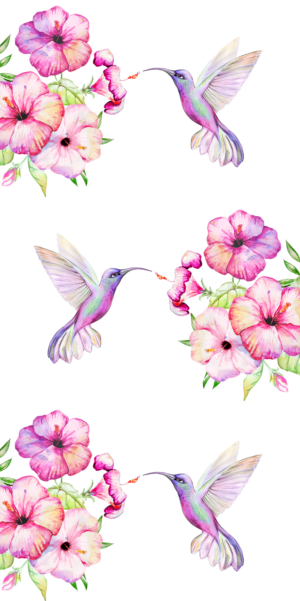 Hummingbird For Phone Wallpapers