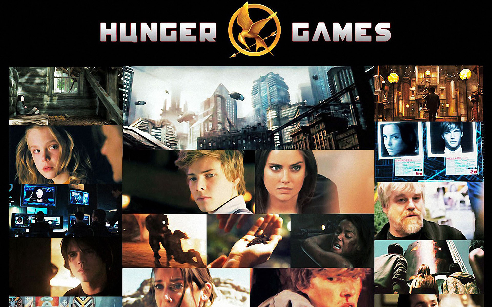 Hunger Games Wallpapers