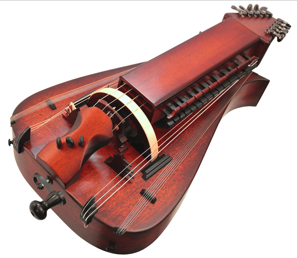 Hurdy Gurdy Wallpapers